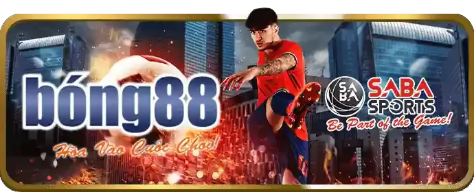 Các lựa chọn cá cược đá gà tại vf039